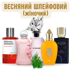 Набір «Весняний шлейфовий (жіночий)»
