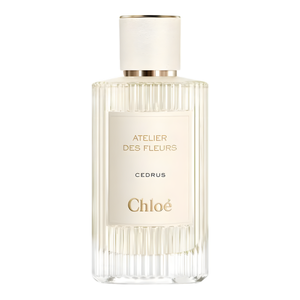 Chloé Cedrus